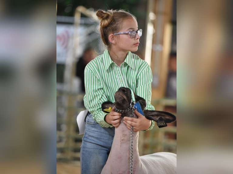 Tyler  Monks  Rural Rustlers