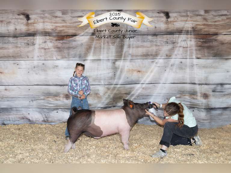 Ellie  Zwack  Ranchin' Rookies