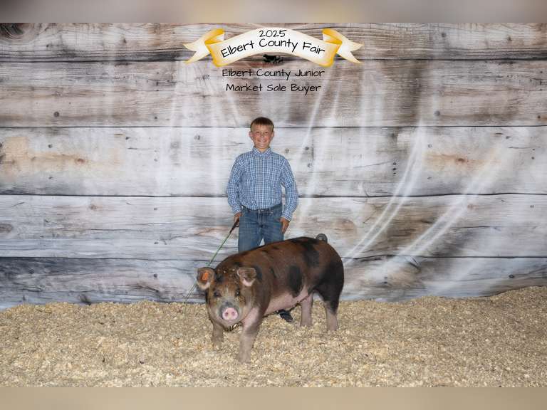 Hezekiah  Cabrera  Gold Creek 4-H