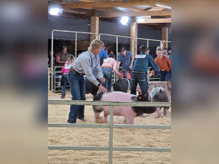 Sam  Martell  Kiowa Community