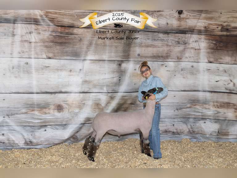 Tyler  Monks  Rural Rustlers