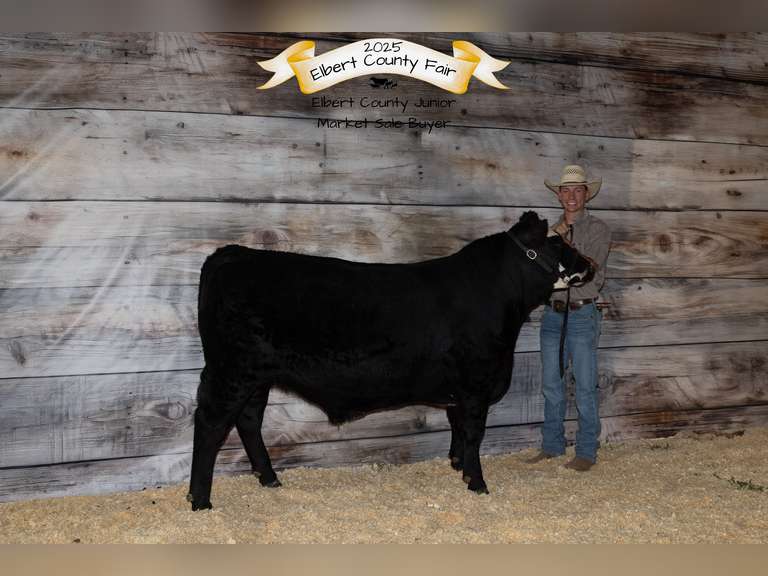 Cole  Powers  Comanche Creek