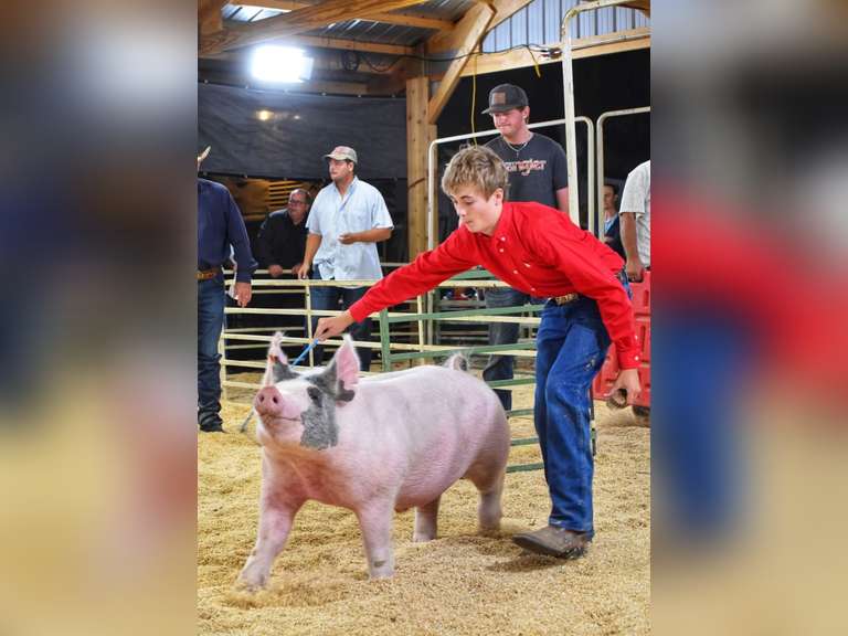 Kolton  Newton  High Plains 4H