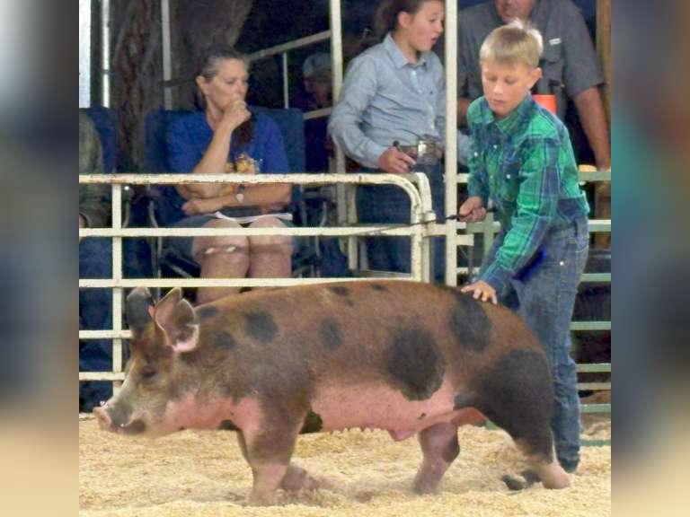 Hezekiah  Cabrera  Gold Creek 4-H