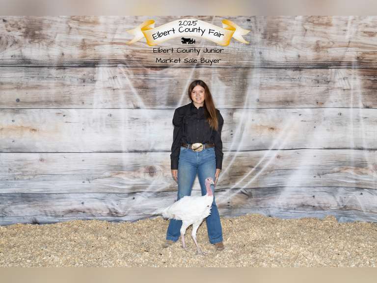 Alexys  Reeves  Kiowa Community 4H club