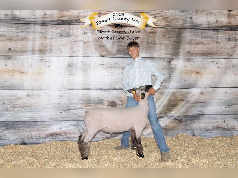 Jack   Pyatt  Rural Rustlers