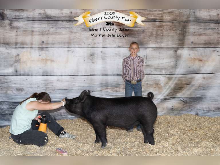 Alexis  Burris   Rattlesnake 4-H club