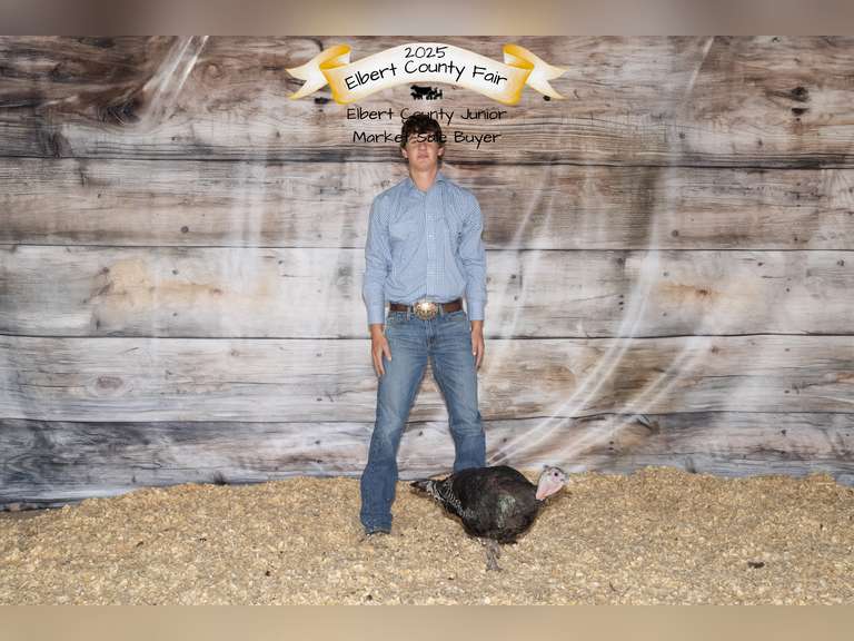 Calvin  Moore  Gold Creek 4H Club