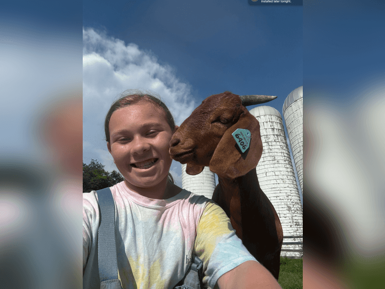 Sophie   Krauson  Kinder Farm Livestock Club