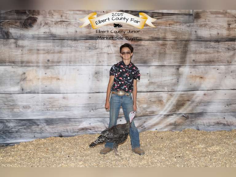 Nathan  Bogner  Elbert Creekside