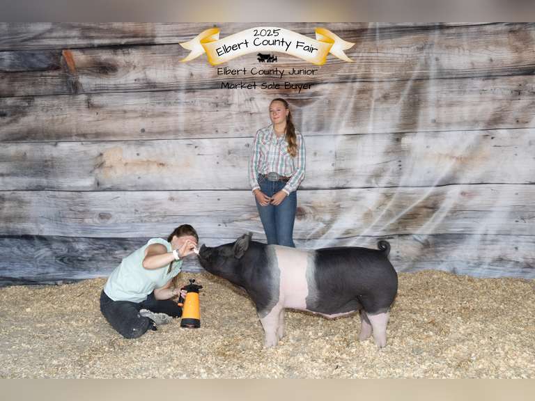 Brooke  Burris  Rattlesnake 4H Club
