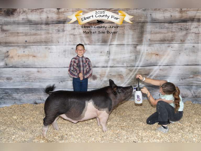 Phinehas  Brammer  Ranchin’ Rookies 4-H Club
