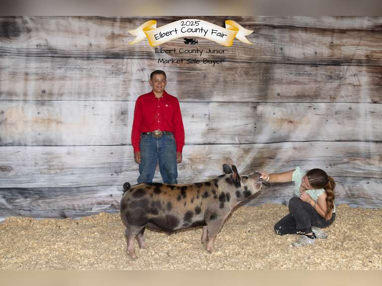 Nehemiah  Cabrera  Gold Creek 4-H