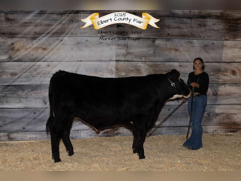 Aliana  Quintana-Ritter  Comanche Creek