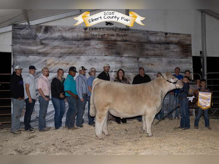 Owen  Hockaday  Rattlesnake 4H