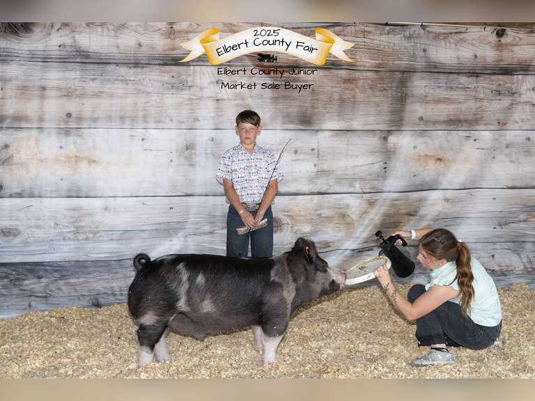 Dallen  Bringhurst   Rural Rustlers