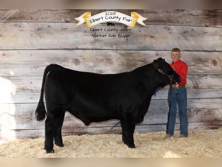 Caden   Mcmanus  Kiowa Community