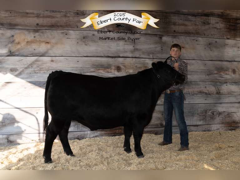 Austin  Hundley  Comanche Creek