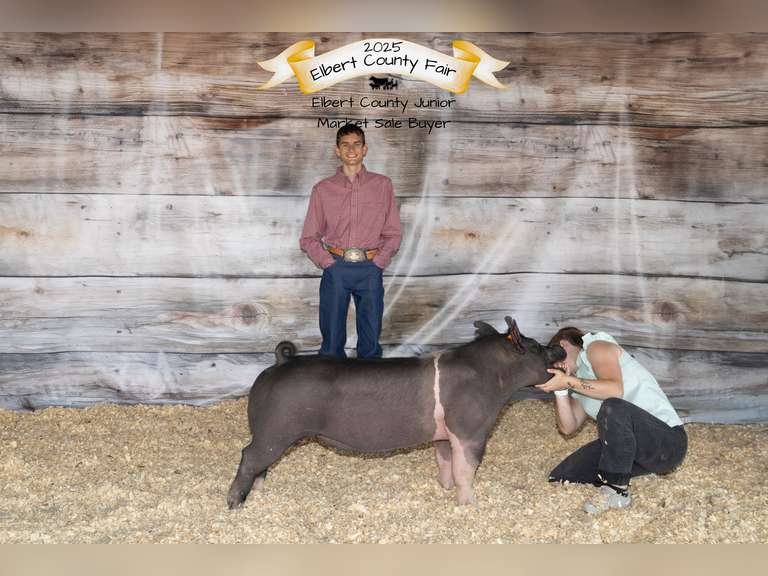 Josiah  Smith  Gold Creek 4-H
