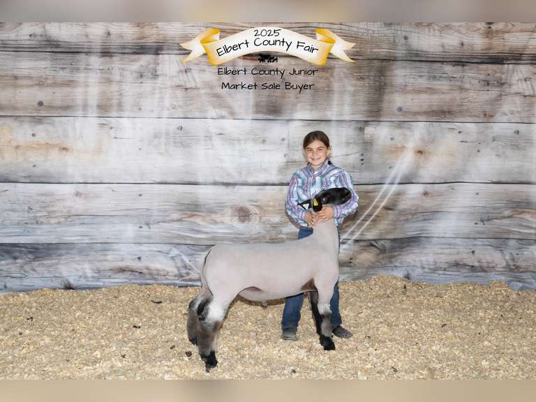Jaycee  Best  Running Creek 4-H Club