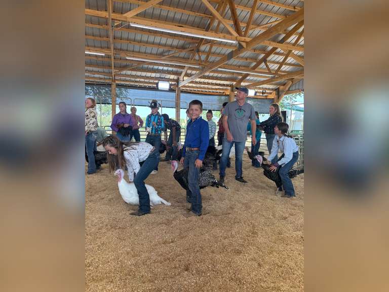 Sully  Cutter  Running Creek 4-H Club