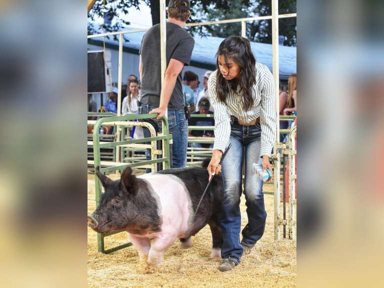Karina  Vidales  Kiowa Community 4-H Club
