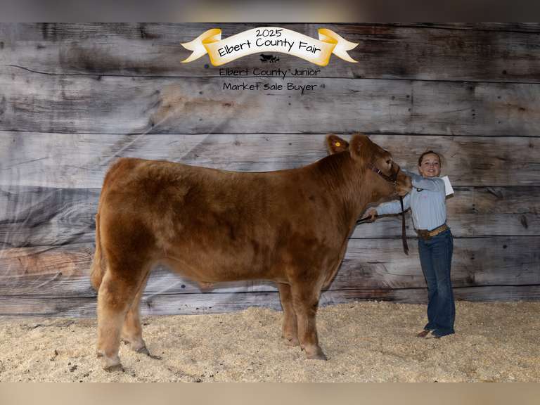 Saige  Carnahan  Kiowa Community 4-H