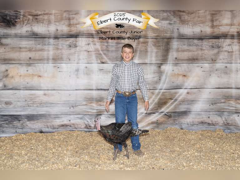 Eli  Thomas  Sun Country 4H Club