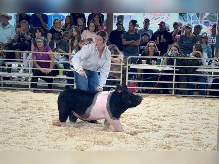 Madison  Wear  Elbert Creekside