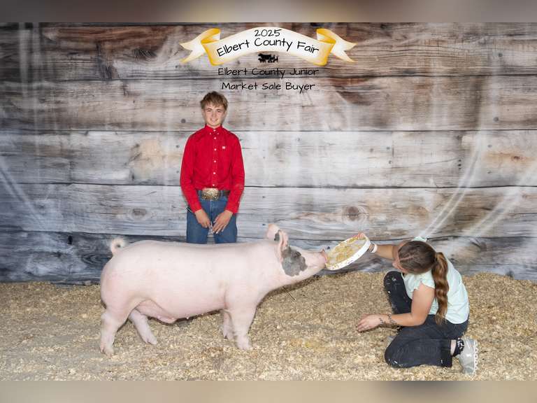 Kolton  Newton  High Plains 4H