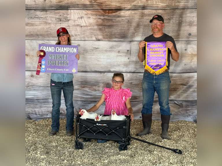 Jamie  Schafer  Rattle Snake 4-H Club