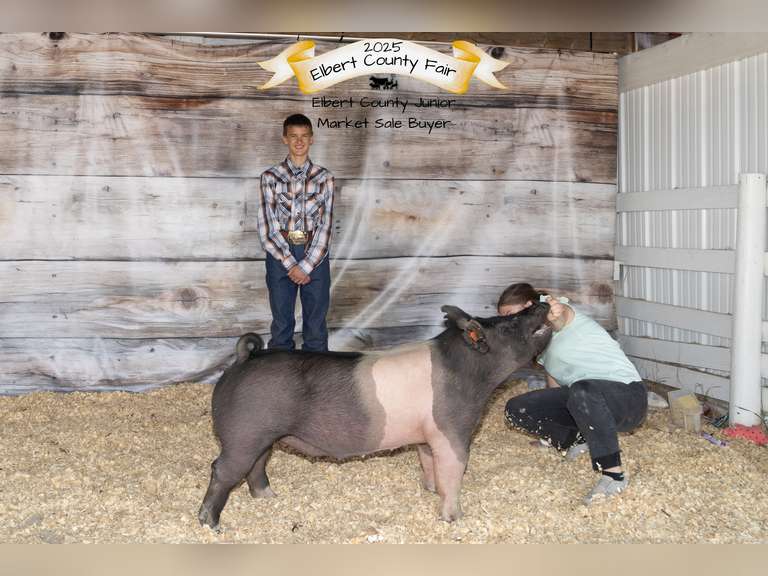Malachi  Smith  Gold Creek 4-H