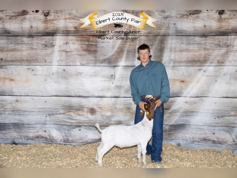 Stockton  Musgrove  Ranchin' Rookies