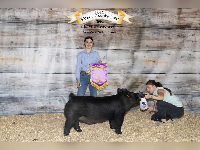 Landree  Cox  Rural Rustlers