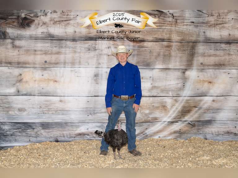 Bryce  Kenna  Rattlesnake 4-H club
