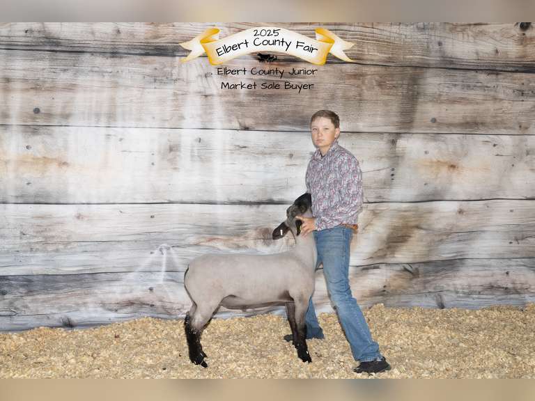 Preston   Fuchs  Elbert Creekside 4-H Club