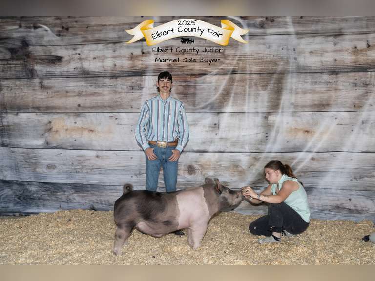 Logan  Cox  Rural Rustlers