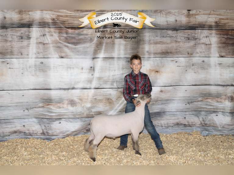 Michael  Lawson  Elbert Creekside