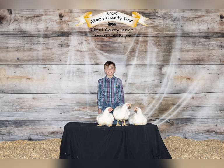 Wyatt  Palmer  Sun Country 4H