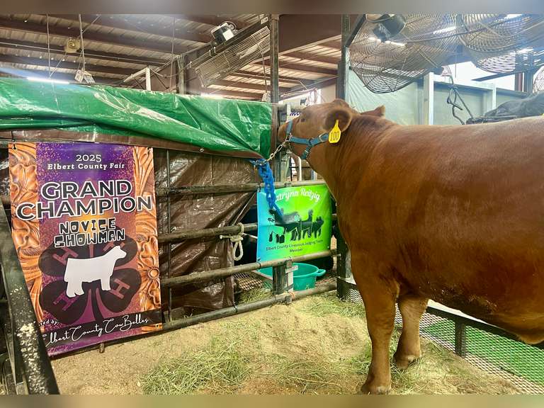 Katryna   Reitzig   Ranchin’ Rookies