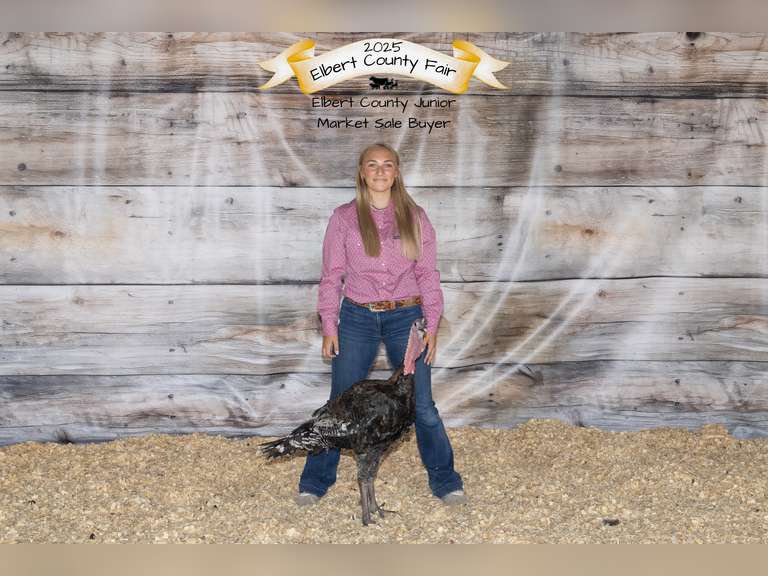 Avery  Zander  Gold Creek
