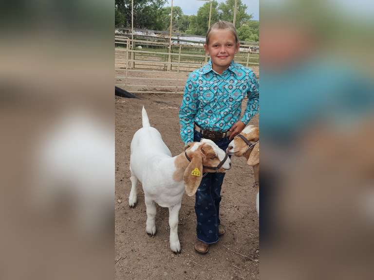 Kiera   Arnold   Sun Country 4H