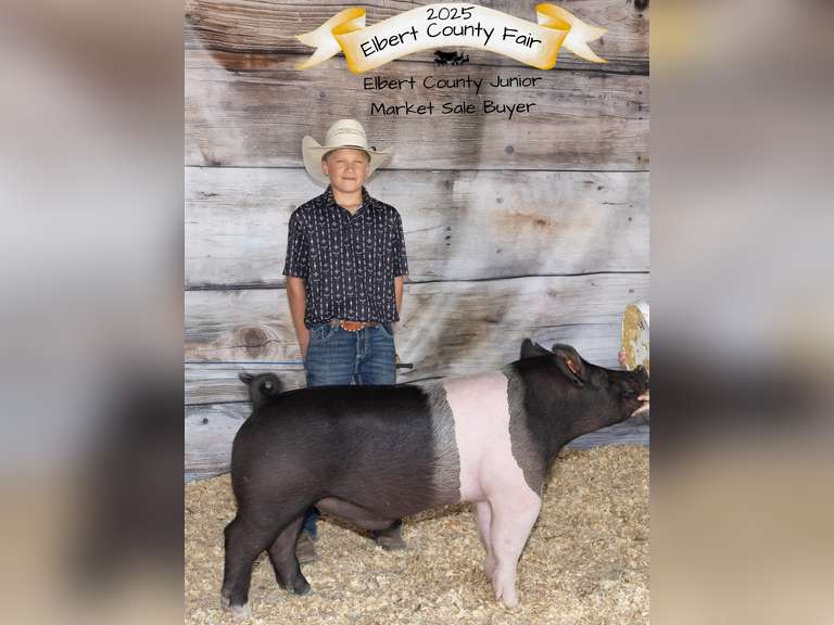 Van  Cutter  Running Creek 4-H Club