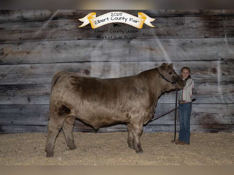 Adah  Anderson  Gold Creek 4H