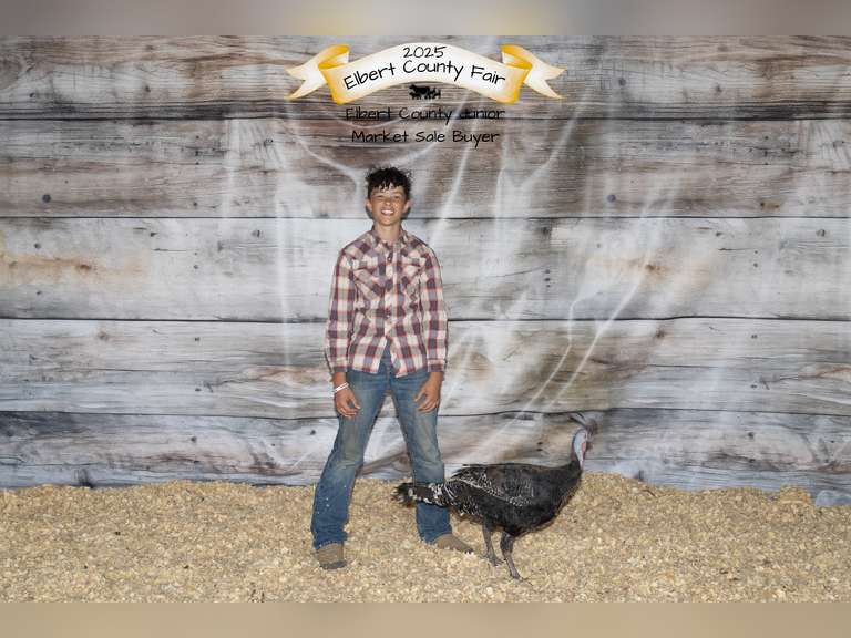 Dominic  Bogner  Elbert Creekside