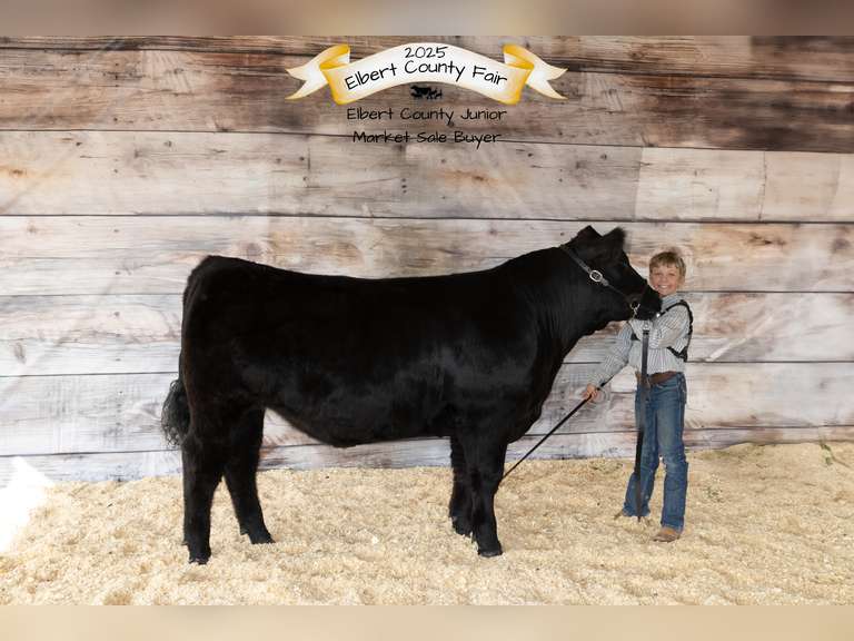 Gus  Cornell  Rural Rustlers