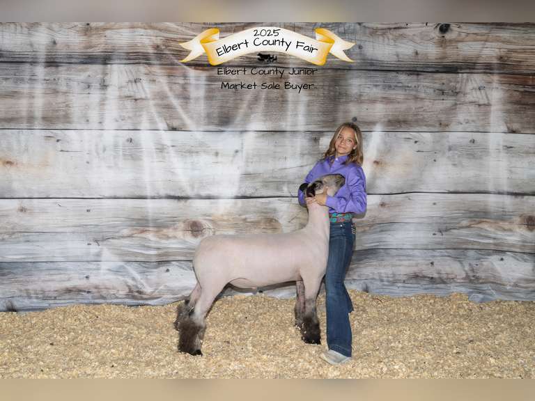 Payton   Monks  Rural Rustlers