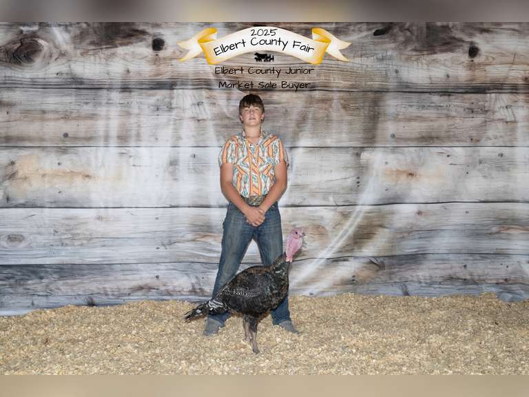 Jackson  Moore  Gold Creek 4H Club
