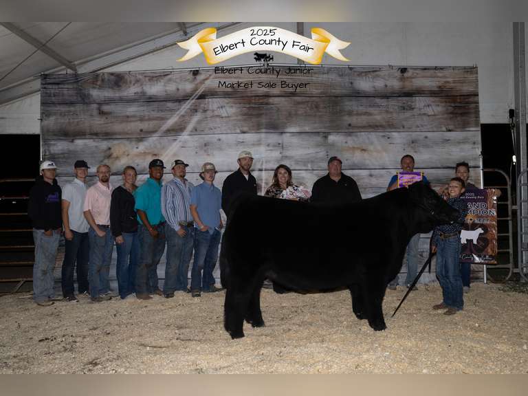 Owen  Hockaday  Rattlesnake 4H