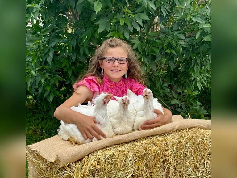 Jamie  Schafer  Rattle Snake 4-H Club